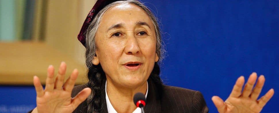 Den Uiguren erging es in der Mitte des 20. Jahrhunderts ähnlich wie den Tibetern, deren Territorium ebenfalls von den Chinesen erobert wurde. Die Autorin Rebiya Kadeer schildert in ihrem Buch den Kampf der Uiguren um ihr Überleben.