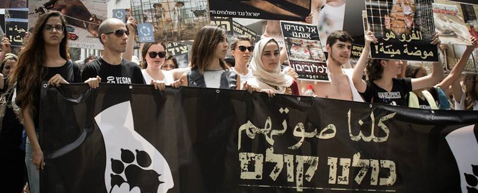 In Haifa kamen vergangenen Freitag 1.000 Juden und Muslime zusammen, um sich für Tierrechte einzusetzen und auf veganes Leben aufmerksam zu machen. Aus dem gemeinsamen Projekt entstand auch eine große Freundschaft.