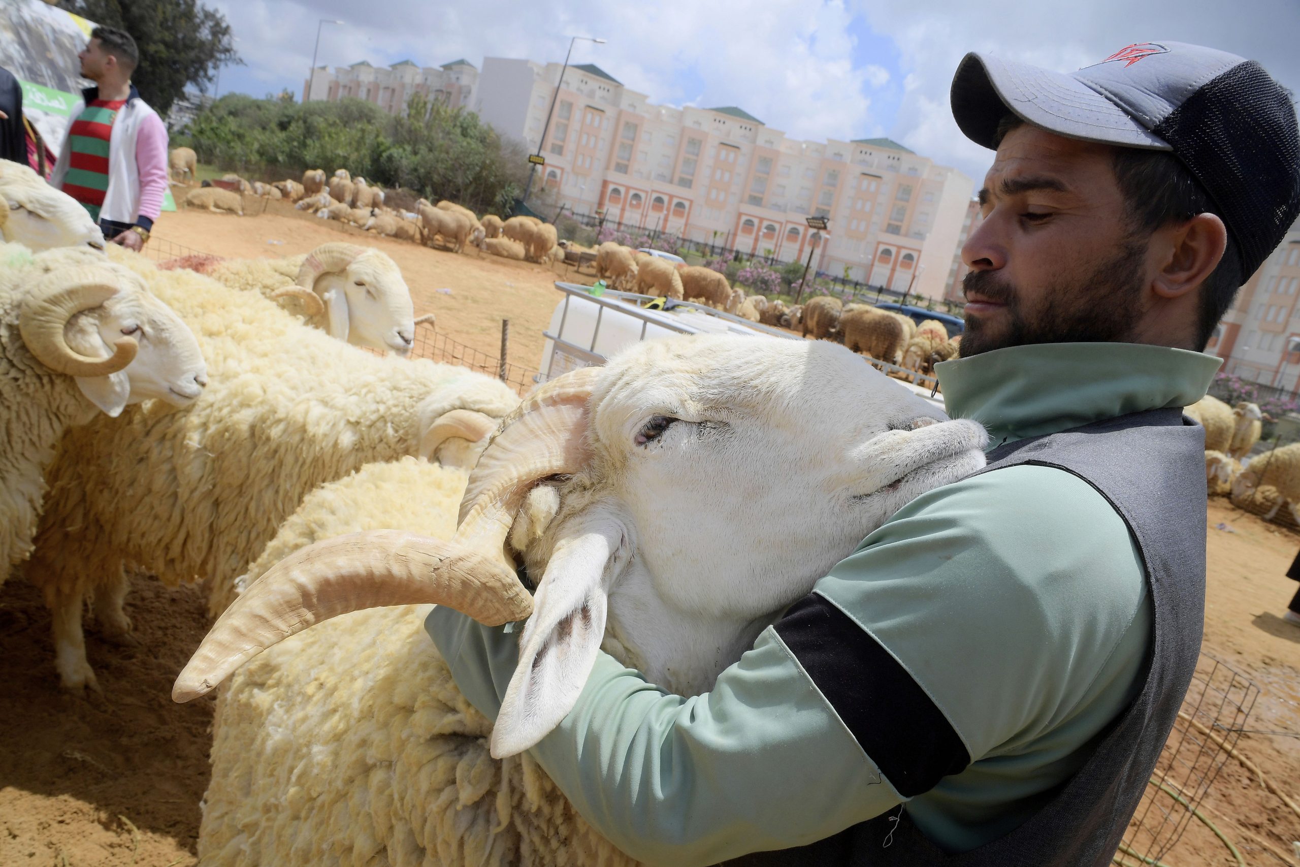 vor dem opferfest in algerien