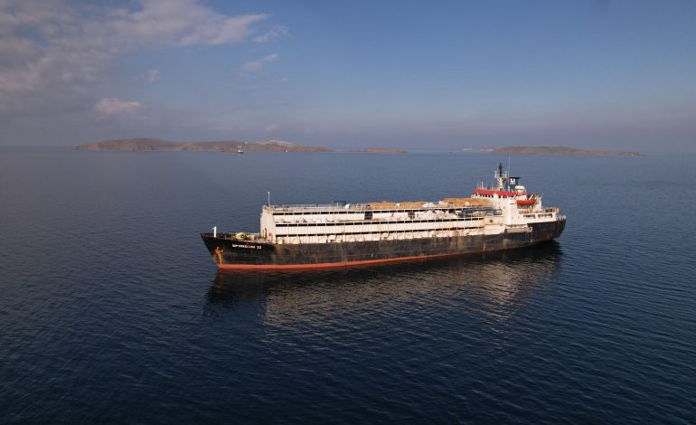 das viehtransportschiff spiridon ii