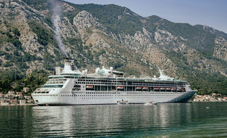 took a snap i5zm6zzen g unsplash