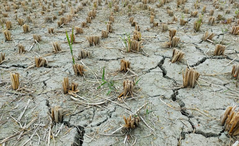 md hasanuzzaman himel mz278sna2ek unsplash