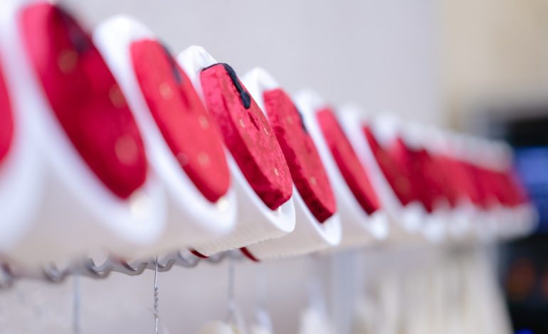 Diyanet unter Druck: Skandale um ins Ausland entsandte Religionsbeamte