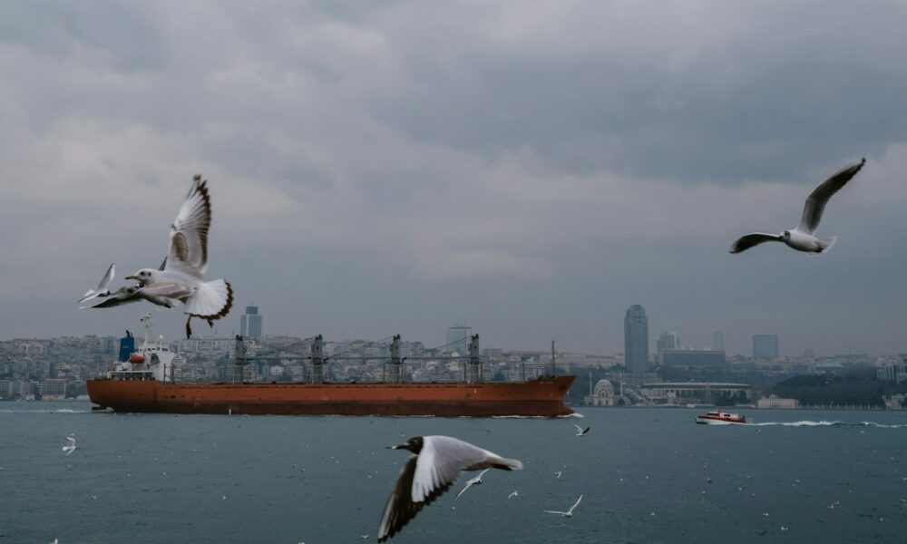 Ein Gastanker am Bosporus. Foto: Filipp Romanovski - Unsplash