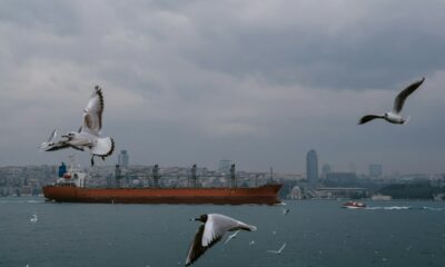 Ein Gastanker am Bosporus. Foto: Filipp Romanovski - Unsplash