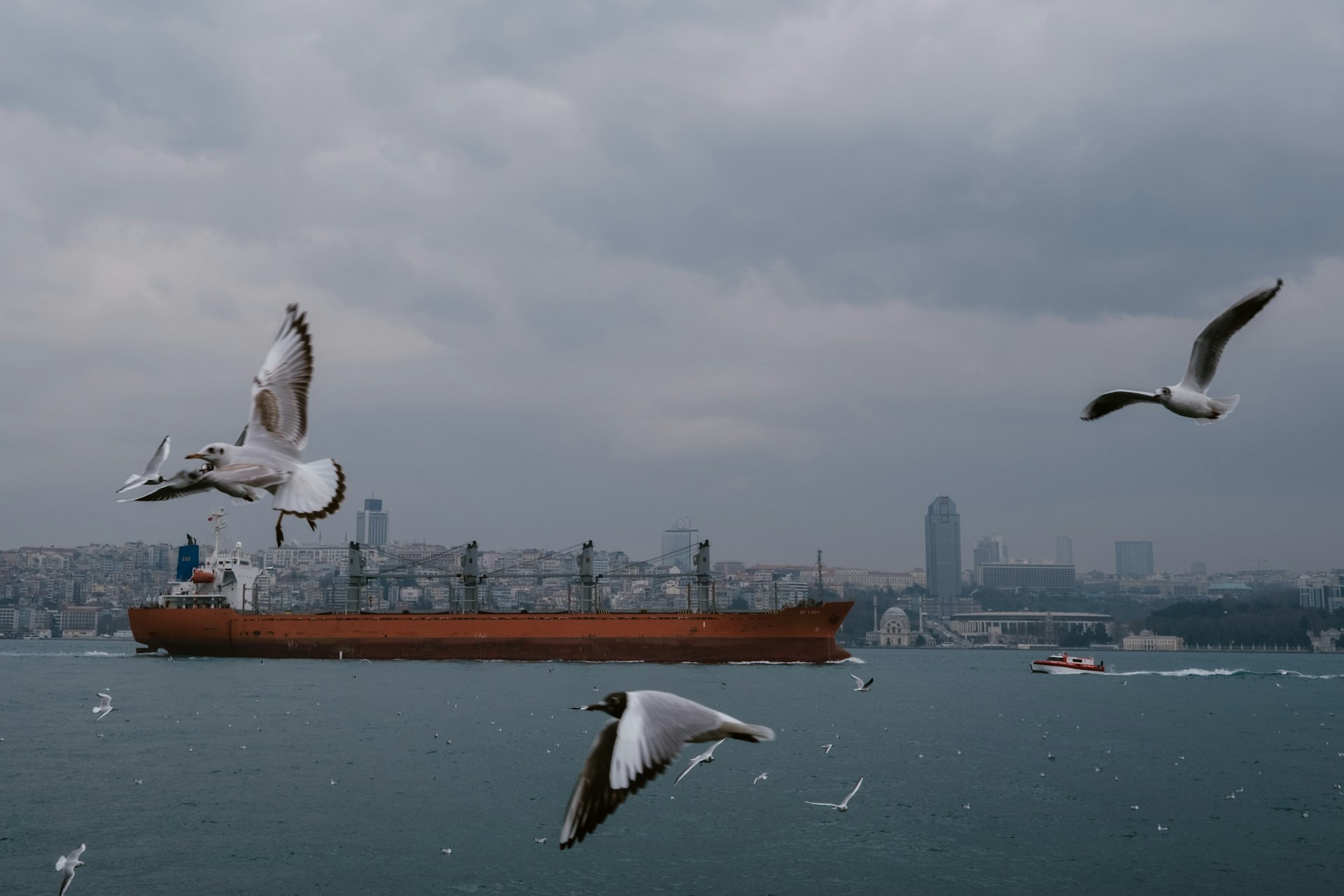 Ein Gastanker am Bosporus. Foto: Filipp Romanovski - Unsplash